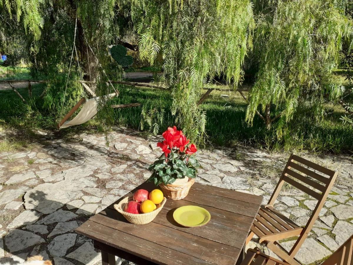 Agriturismo Terra Di Pace Νότο Εξωτερικό φωτογραφία