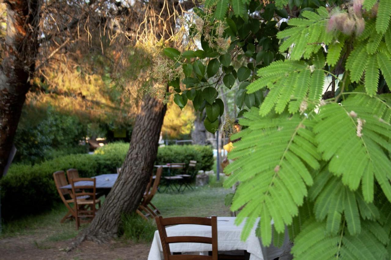 Agriturismo Terra Di Pace Νότο Εξωτερικό φωτογραφία