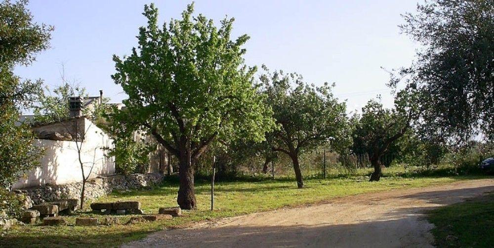 Agriturismo Terra Di Pace Νότο Εξωτερικό φωτογραφία