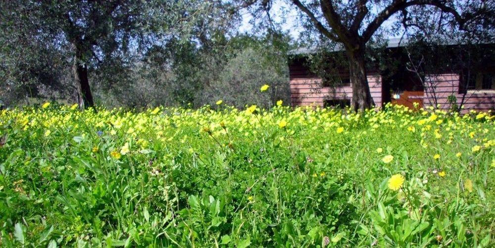 Agriturismo Terra Di Pace Νότο Εξωτερικό φωτογραφία